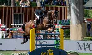 Show jumping horses at the Piazza di Siena event
