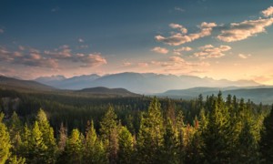 Natural landscapes with forests and mountains