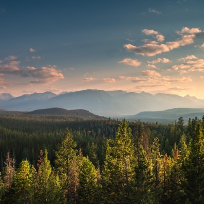 Paesaggi naturali con boschi e montagne