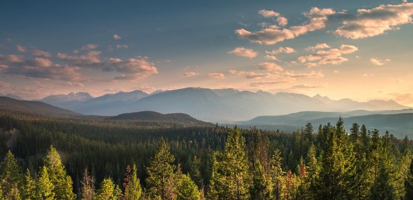 Natural landscapes with forests and mountains