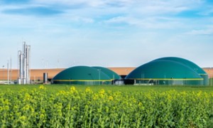 Biofuel plant