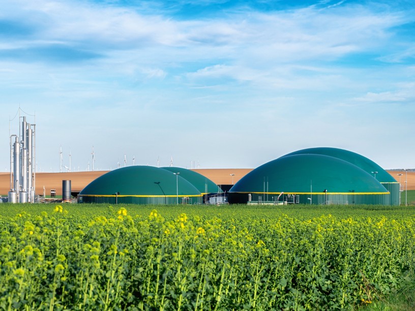 Biofuel plant