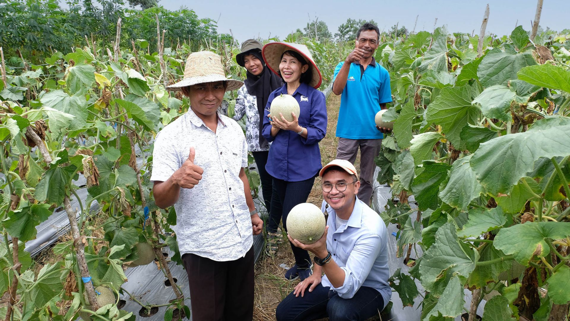 Due donne e tre uomini coltivatori indonesiani in un campo di meloni