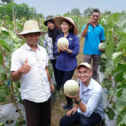 Due donne e tre uomini coltivatori indonesiani in un campo di meloni