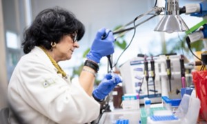 Scientist in laboratory testing test tubes