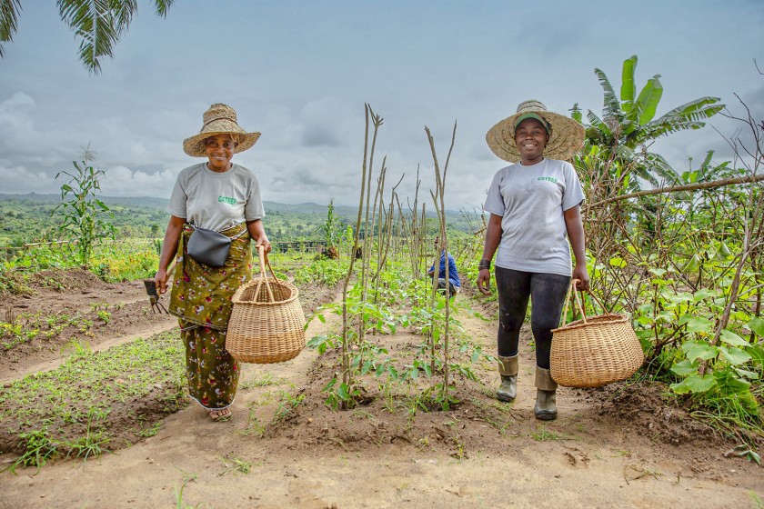 Smiling women walk in the fields, holding baskets 