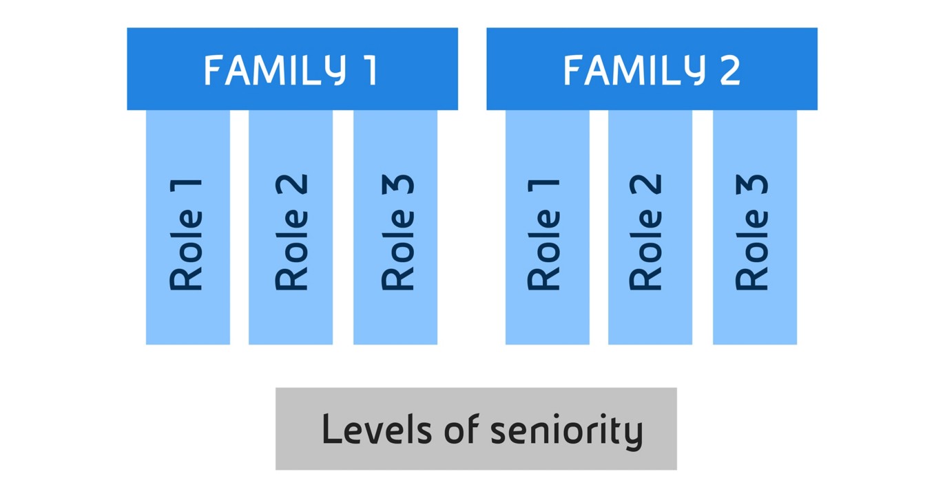 Graphic representation of our specialist expertise in the Professional Area. 