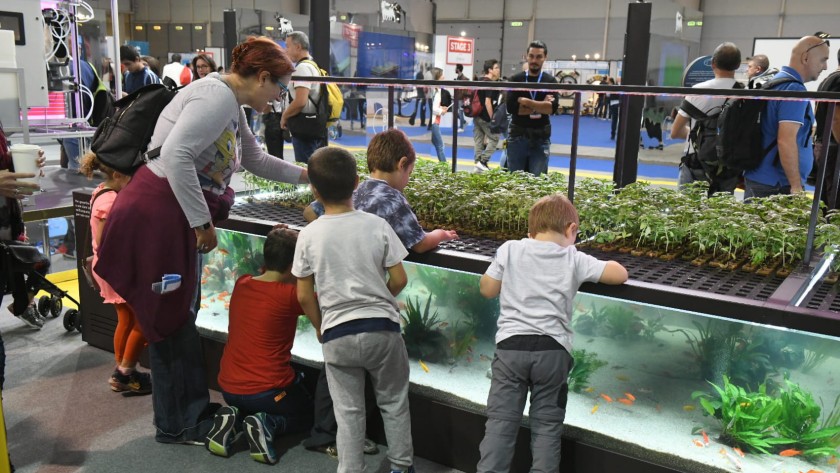 Four children and a woman are looking at an aquarium at Maker Faire 2018.
