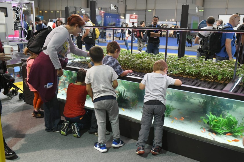 Four children and a woman are looking at an aquarium at Maker Faire 2018.