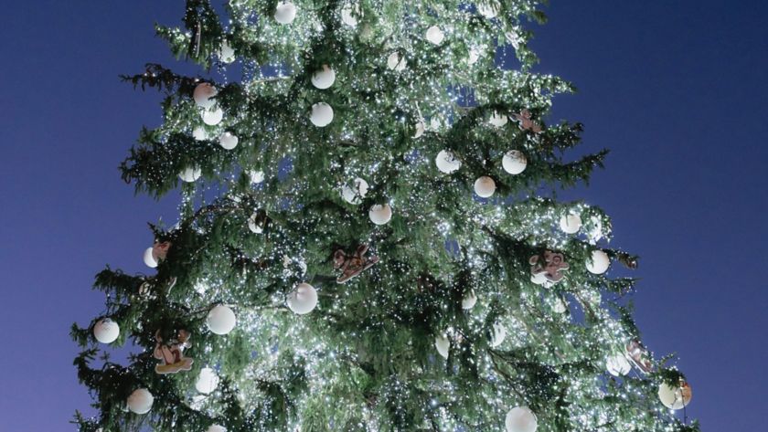 Focus sulla decorazione dell'Albero dei Giochi di Milano Cortina 2026 acceso in Piazza Duomo a Milano.