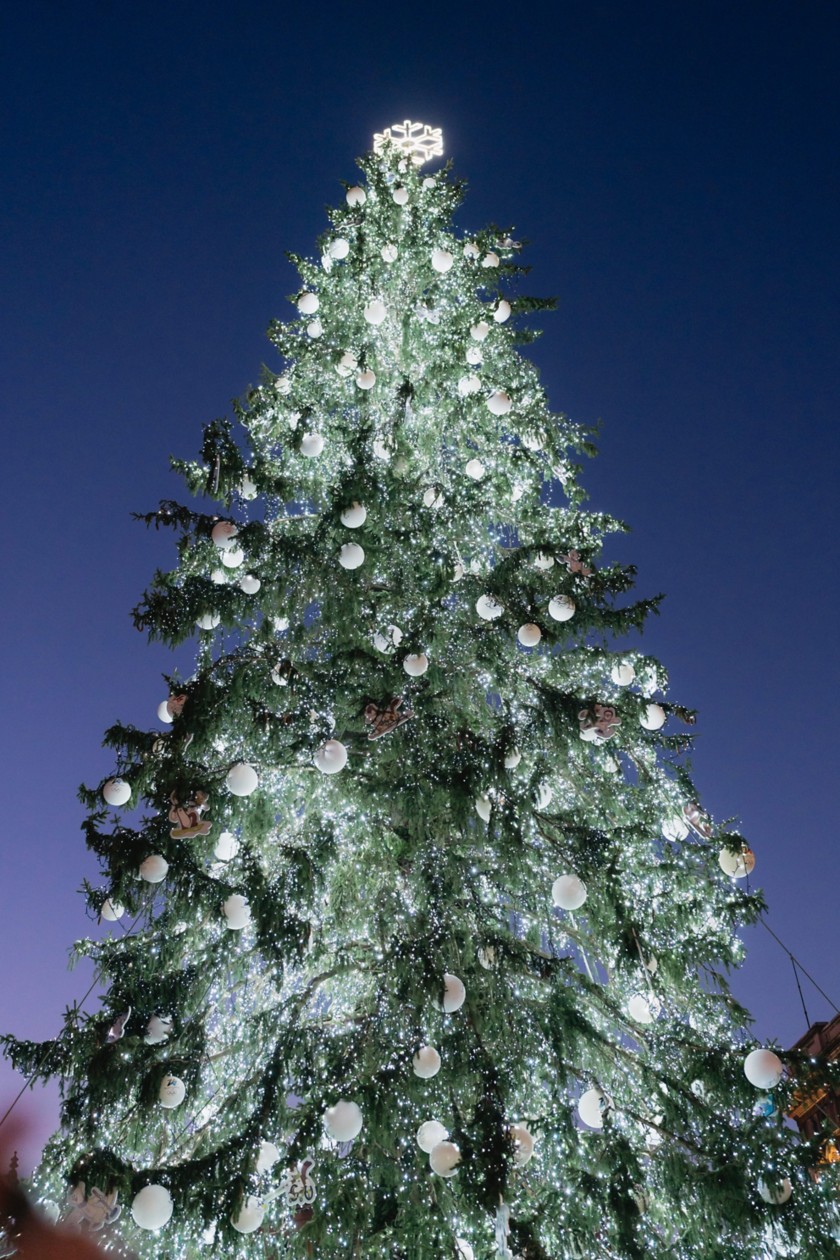 Focus sulla decorazione dell'Albero dei Giochi di Milano Cortina 2026 acceso in Piazza Duomo a Milano.