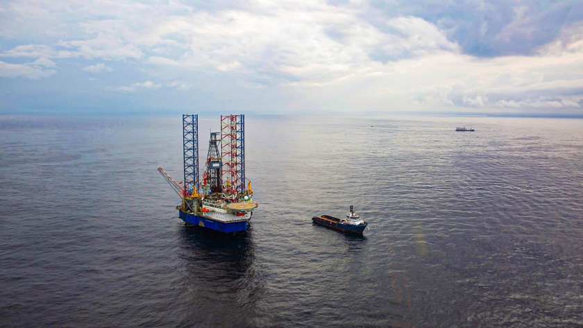 Top view of the plant in the sea