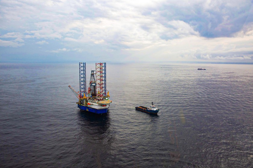 Top view of the plant in the sea