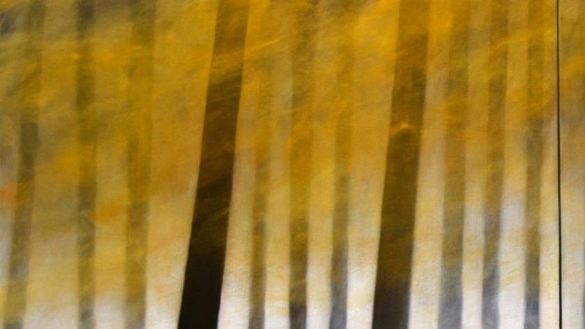 Drawing of a Forest 