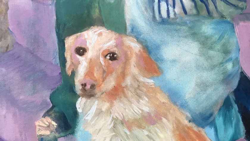 Portrait of a Dog in a Living Room
