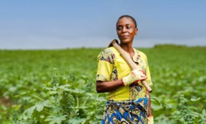 Bracciante agricola in un campo di ricino