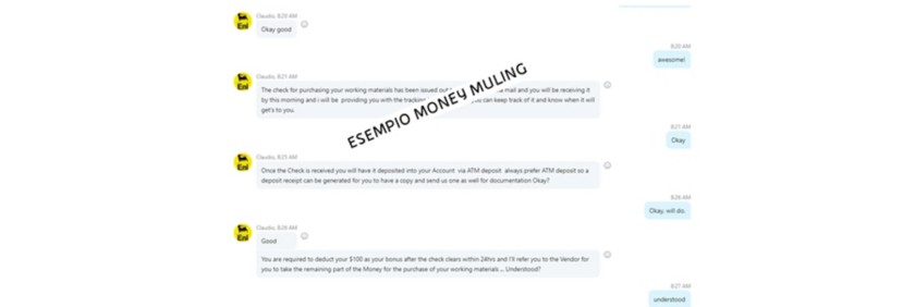 Screenshot di chat in cui si discute di trasferimenti di denaro fraudolenti