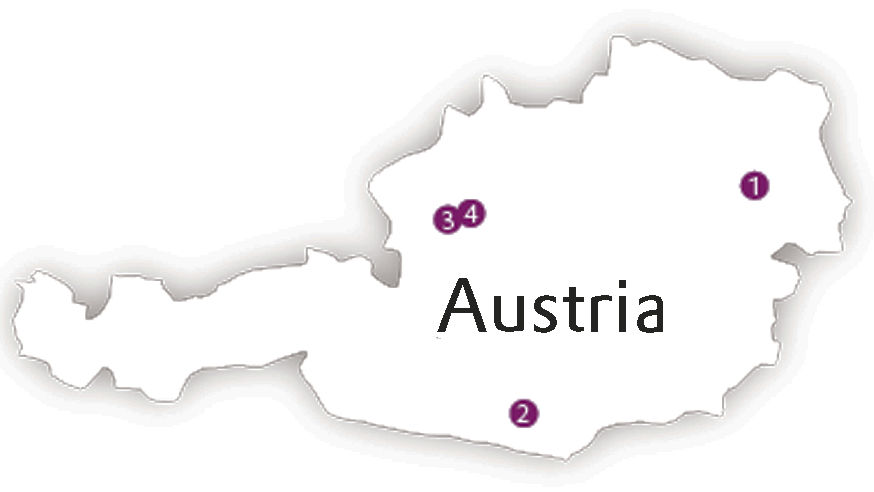 A map of Austria with marks vor the four Evonik sites