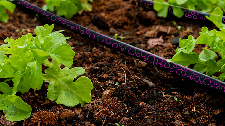 Drip irrigation with peracetic acid and hydrogen peroxide