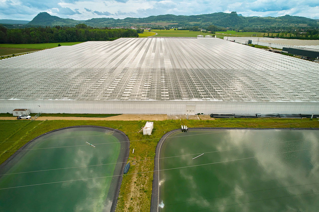 Im Vordergrund zwei offene Regenwasserspeicherbecken, dahinter das riesige Gewächshaus, ganz im Hintergrund sind Berge zu sehen.