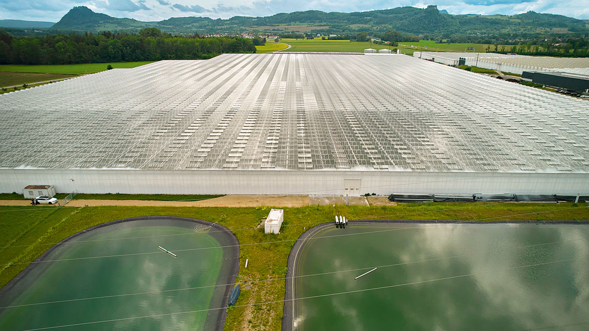 BL AO water hygiene as a service Reichenau gardens