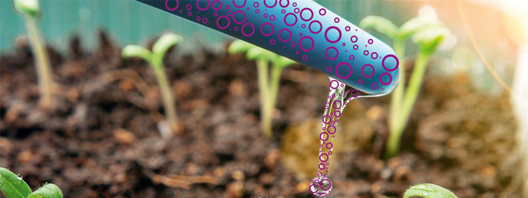 Clean and aseptic drip irrigation using hydrogen peroxide