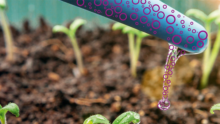 Clean and aseptic drip irrigation using hydrogen peroxide