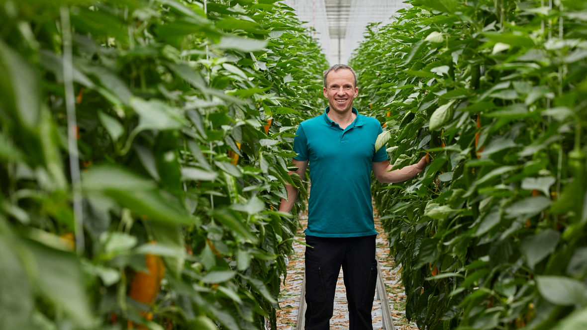 BL AO  water hygiene broiler greenhouse Reichenau Tobias Jörg