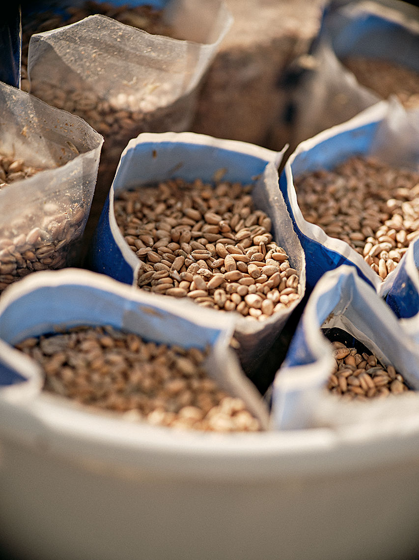 Probebeutel mit Futterrohstoff.