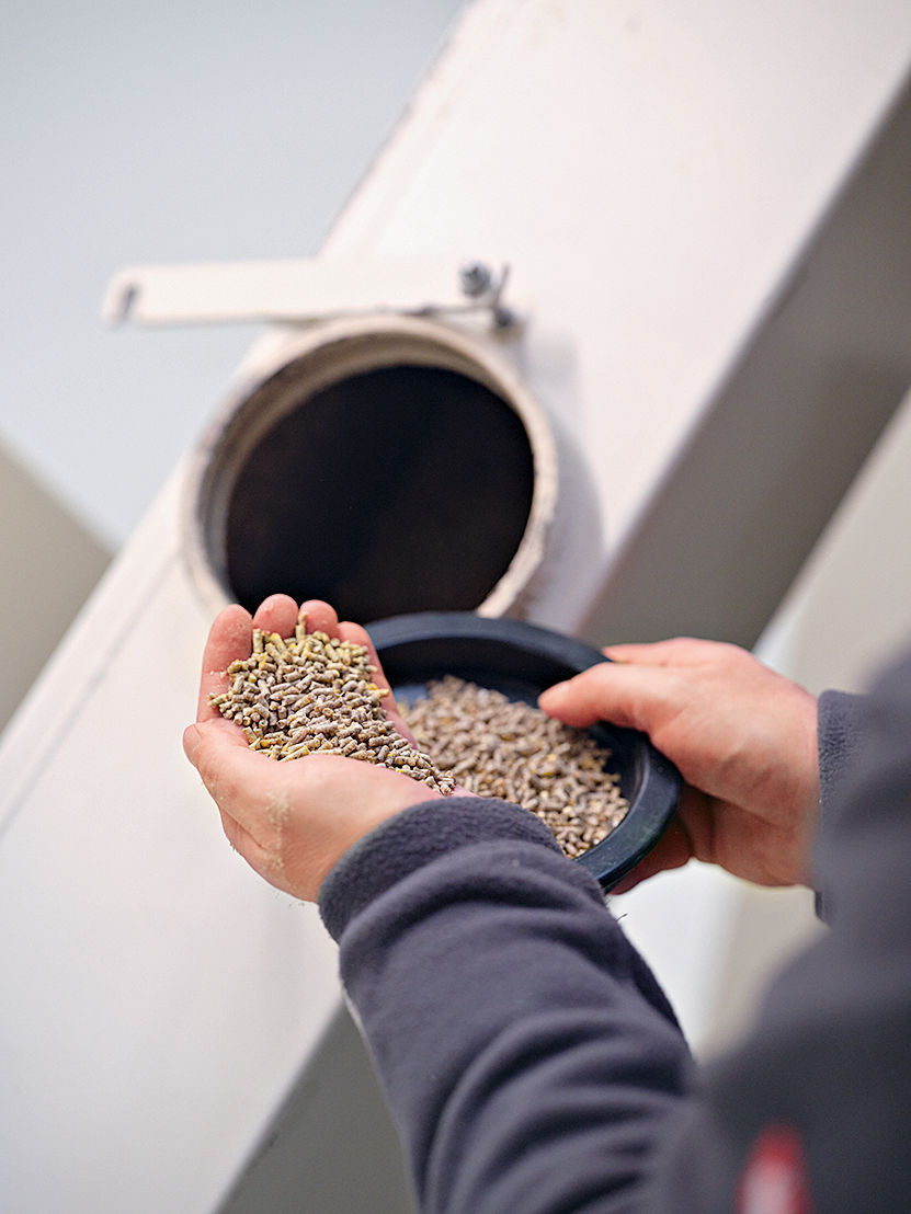 Eine Hand hält eine Futtermittelprobe.