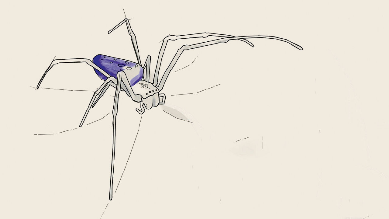 Die Spinne