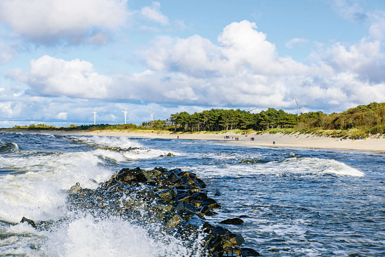 A Baltic Sea beach with sand, rocks and a nearby forest. Offshore wind turbines can be seen on the horizon.