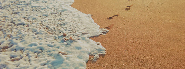 100 percent sustainable