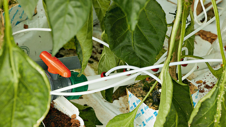 Drip irrigation contributes to reduction of water consumption