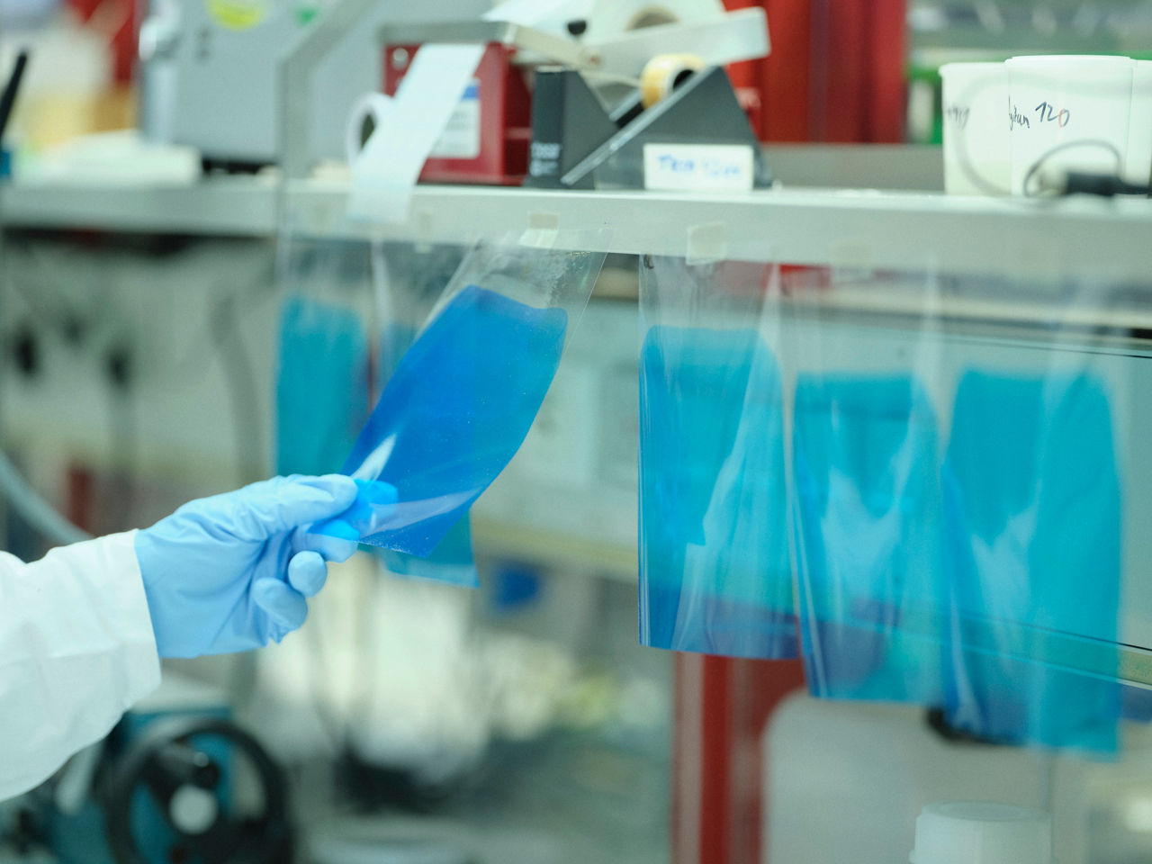Plastic strips hang on a line in the lab. The lower part is blue, and a hand wearing protective gloves is inspecting one of the strips.