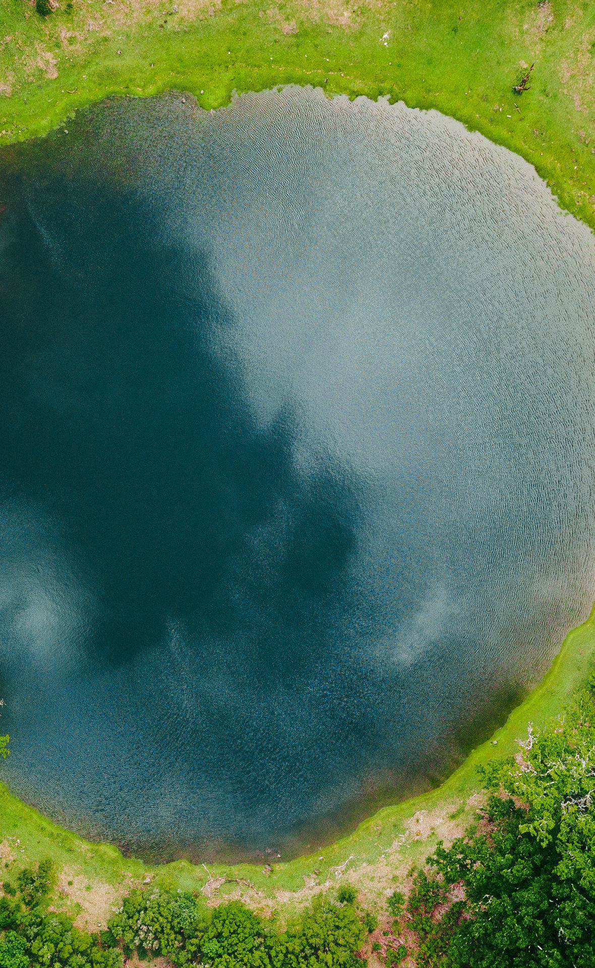 Runder Teich von oben, Fanal, Madeira, Portugal