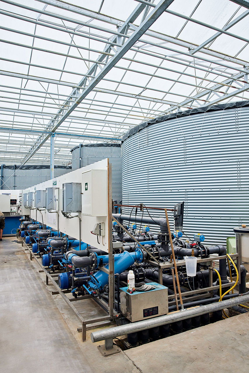 Große graue Wasserbehälter im Gewächshaus.