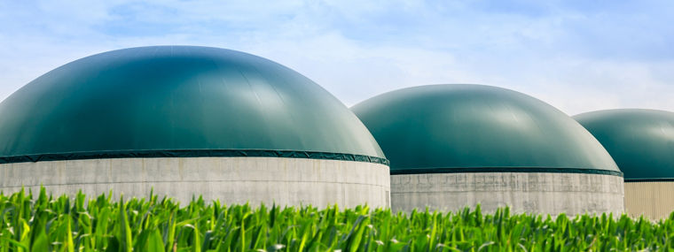 Close-up of a lightweight carbon fiber composite panel with a foam core, showing its layered structure and glossy surface finish.