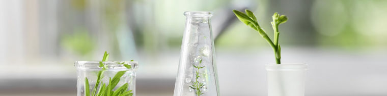 BL Active Oxygens hydrogen peroxide physico chemical properties