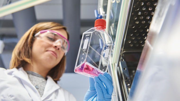 Ann-Katrin Kuhn, Senior Scientist im Darmstädter Labor von  Evonik, testet die Anwendung von Kollagen in Zellkulturen.----Ann-Katrin Kuhn, Senior Scientist in Evonik's Darmstadt laboratory, is testing the application of collagen in cell cultures.Elements 03_2020