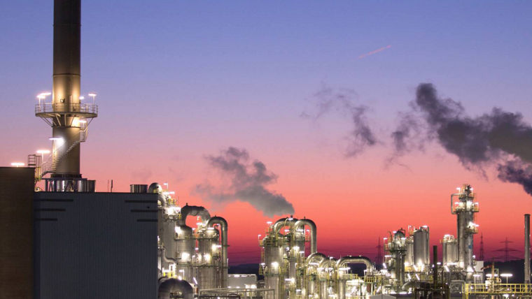 Lighted plant in the dark