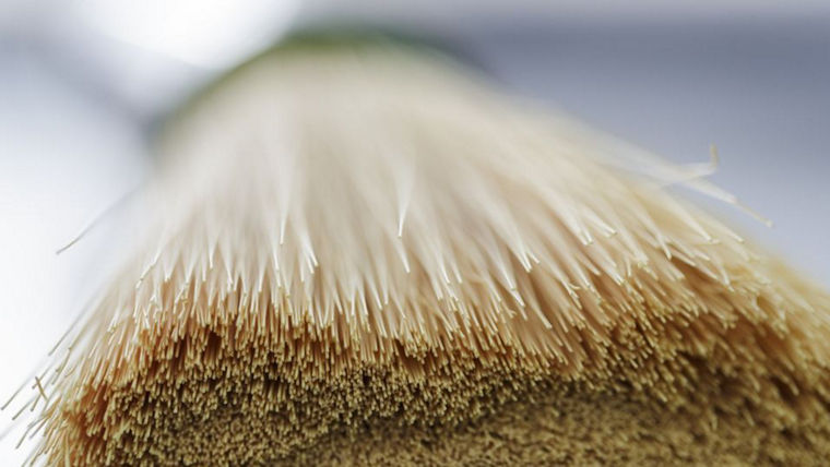 Membranes by High Performance Polymers