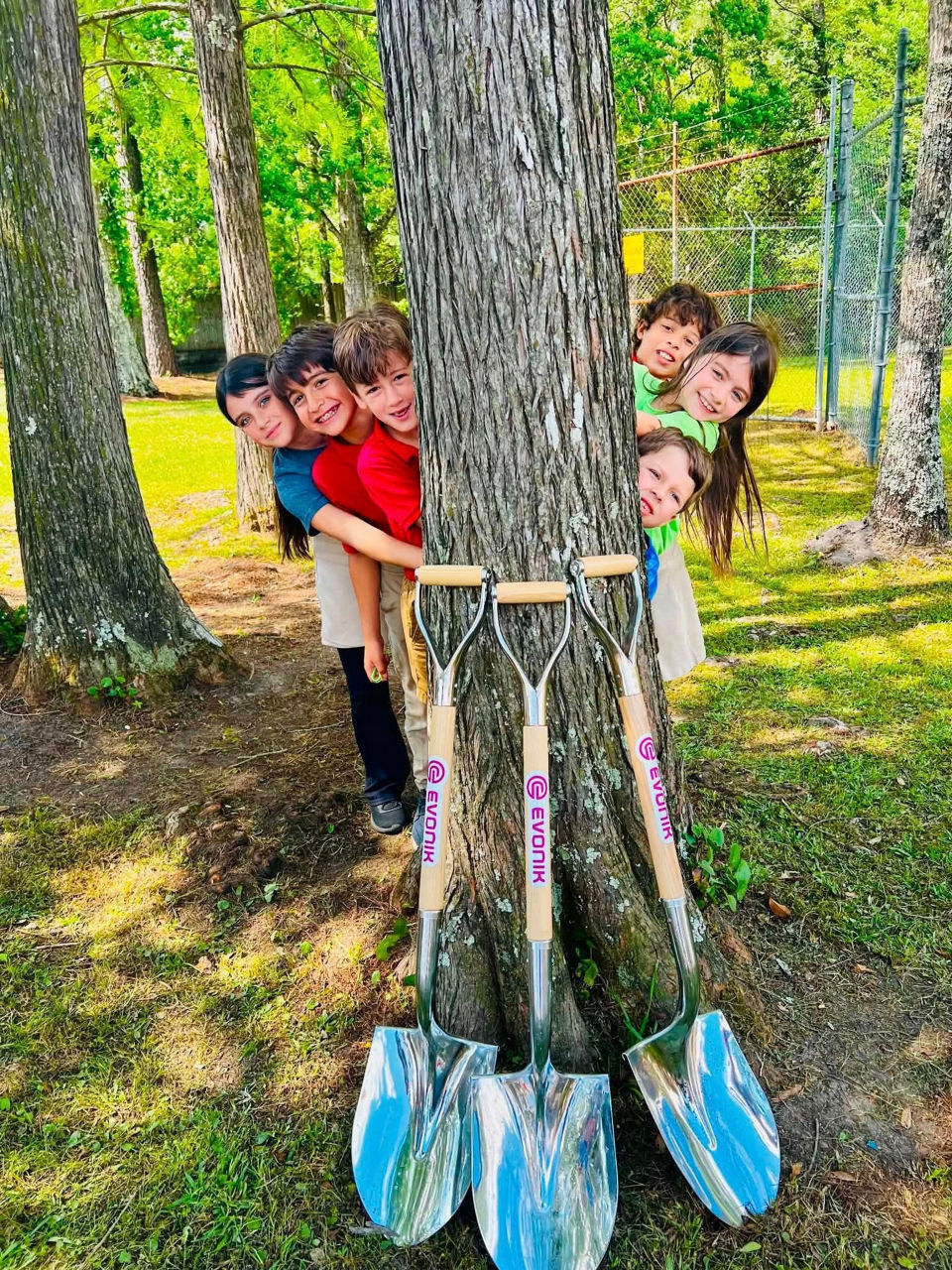 Three shiny shovels leaning against a large tree with children peeking from behind it.