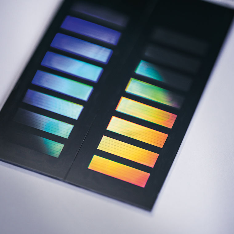 Ein Chip mit einer Methylomanalyse 