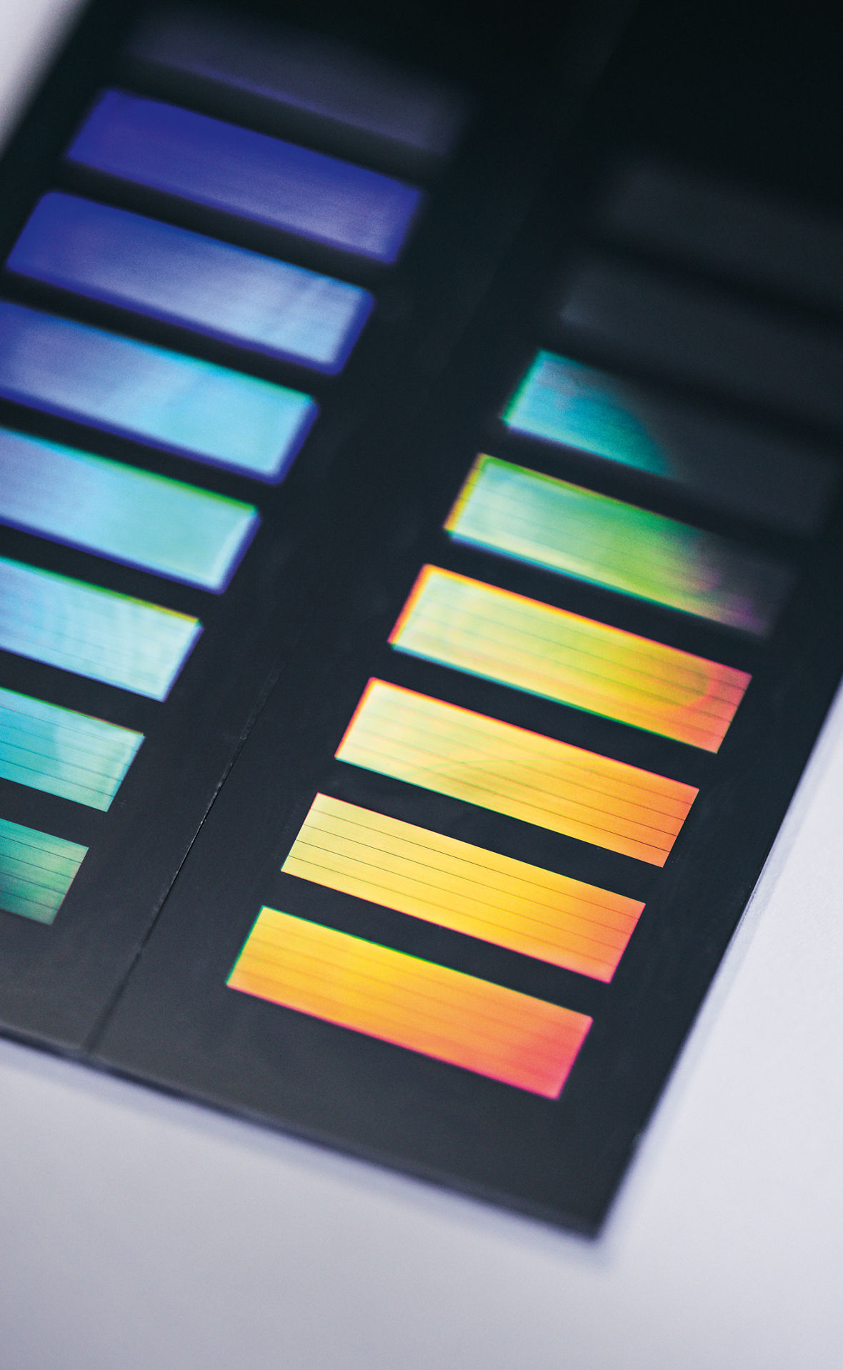 Ein Chip mit einer Methylomanalyse 