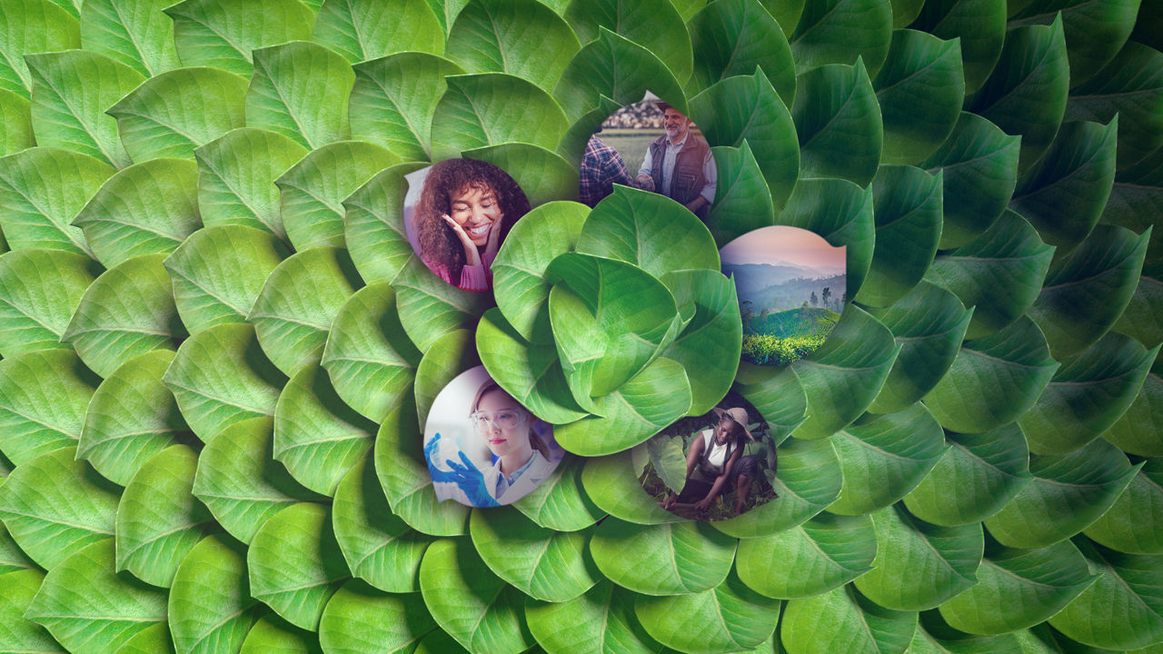 Leaves and Photos in a circle