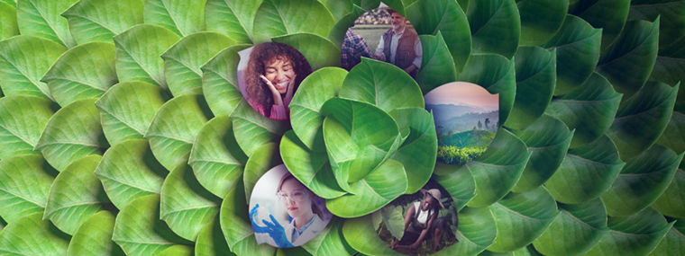 Leaves and Photos in a circle