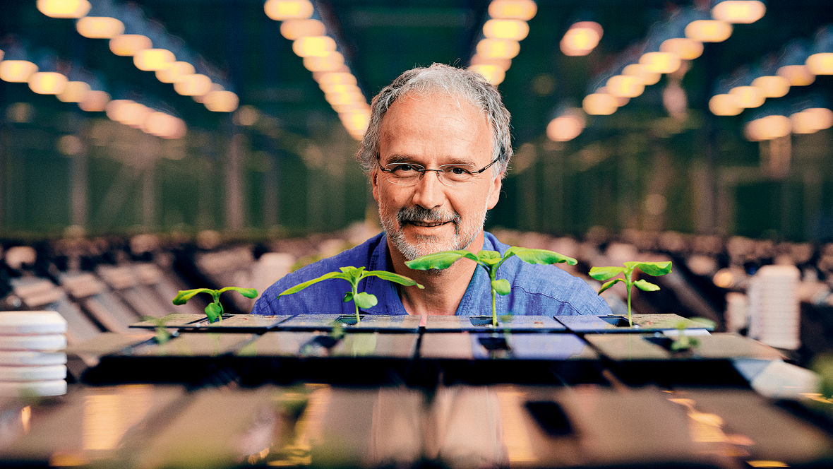 BL AO key hygiene as a service Prof Schurr