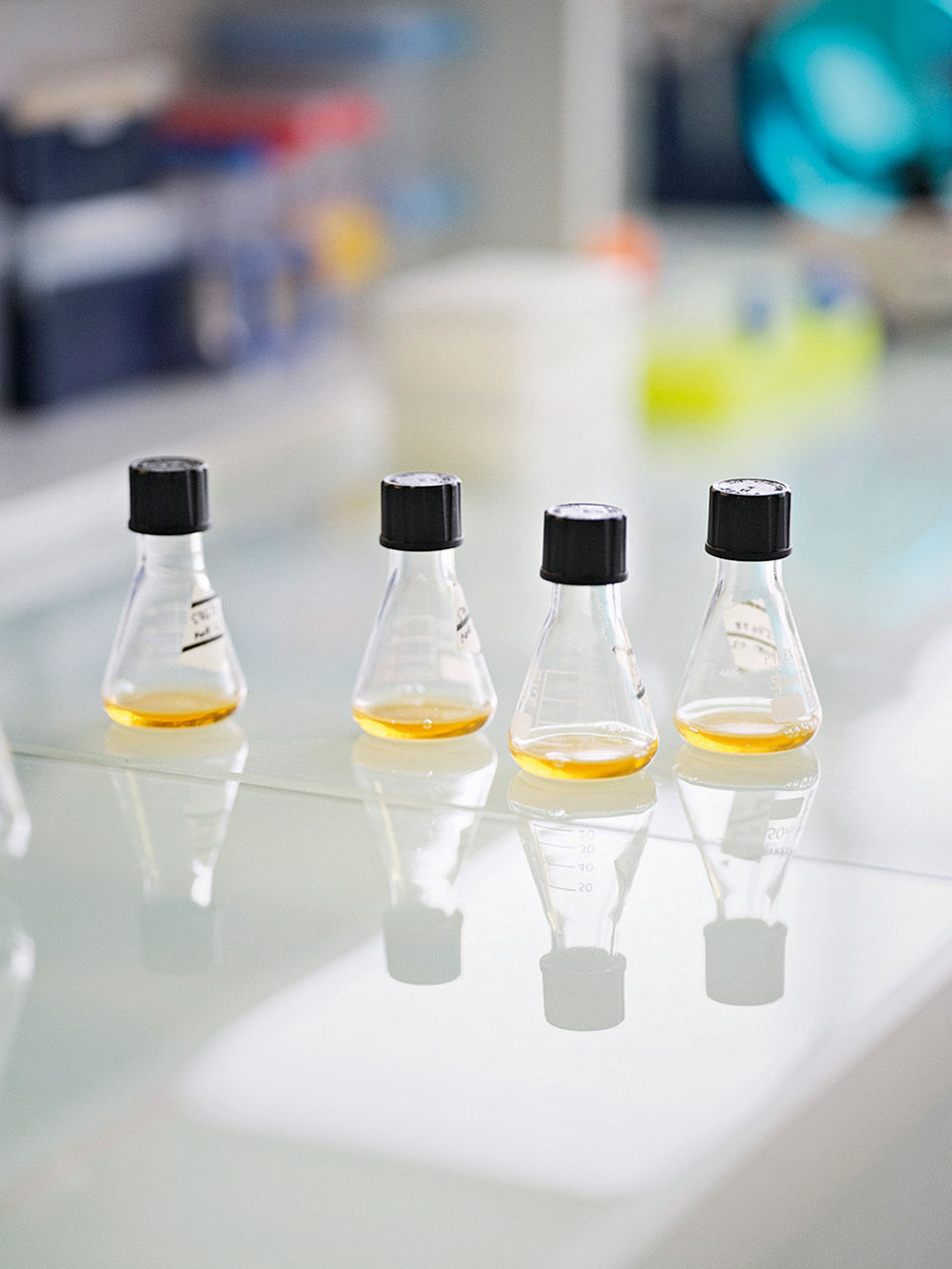Vier kleine Flaschen mit schwarzen Deckeln und einer gelblichen Flüssigkeit stehen auf einer Glasplatte.