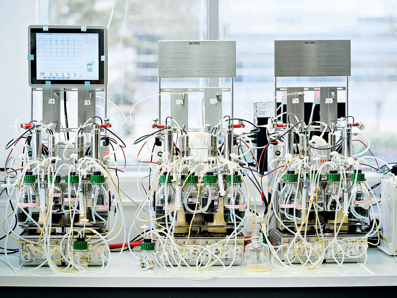 Drei kleine Fermenter mit zahlreichen Schläuchen stehen nebeneinander auf einem Labortisch.